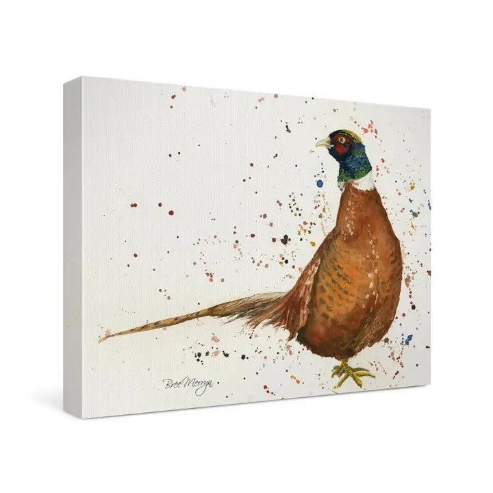 Phelan Canvas Cutie (6"x8")