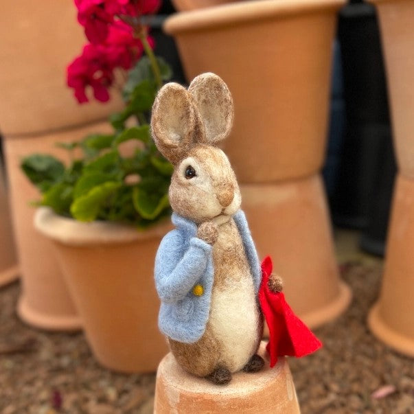Beatrix Potter - Peter Rabbit and His Pocket Handkerchief