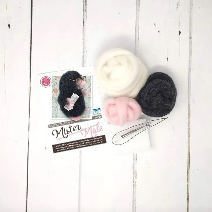 Mr Mole Needle Felting Craft Kit