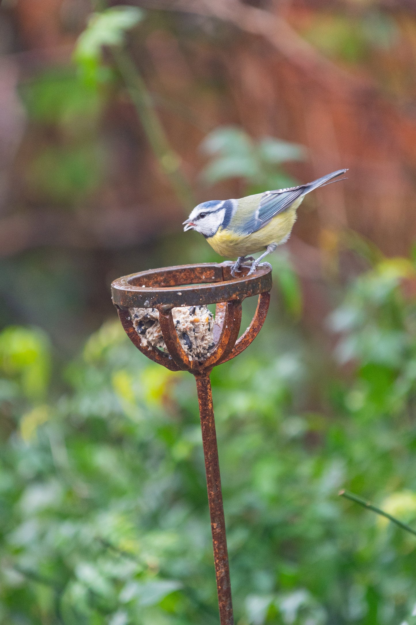 Fat Ball Bird Feeder Stake – Rustic Metal Garden Bird Feeder