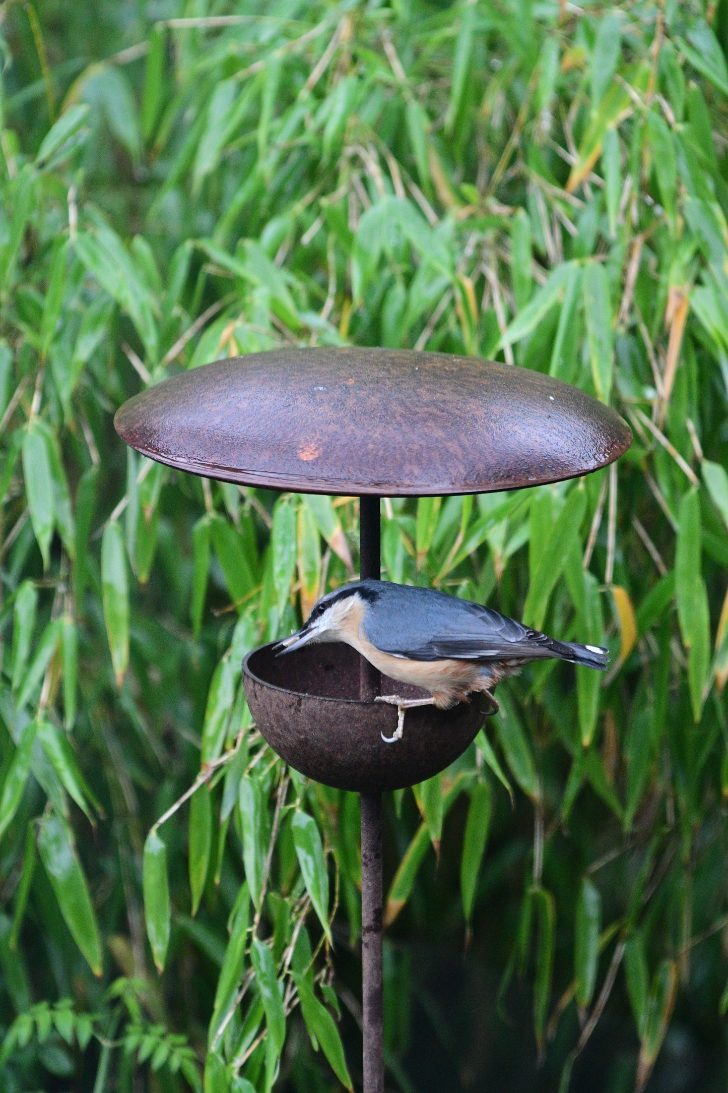 Rusty Metal Bird Feeding Stake – Steel Garden Bird Feeder