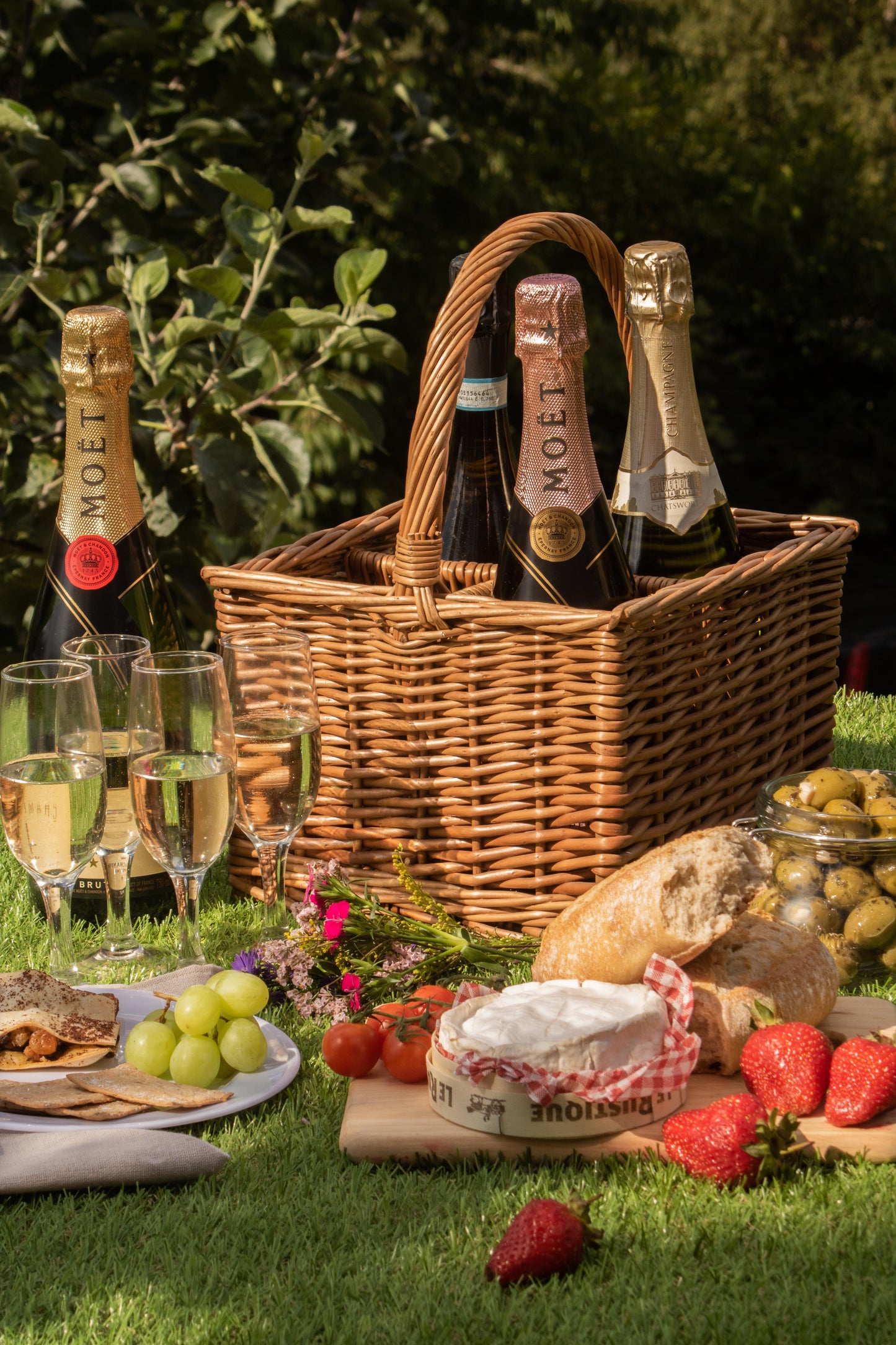 Double Steamed 4 Bottle Wine Carrier