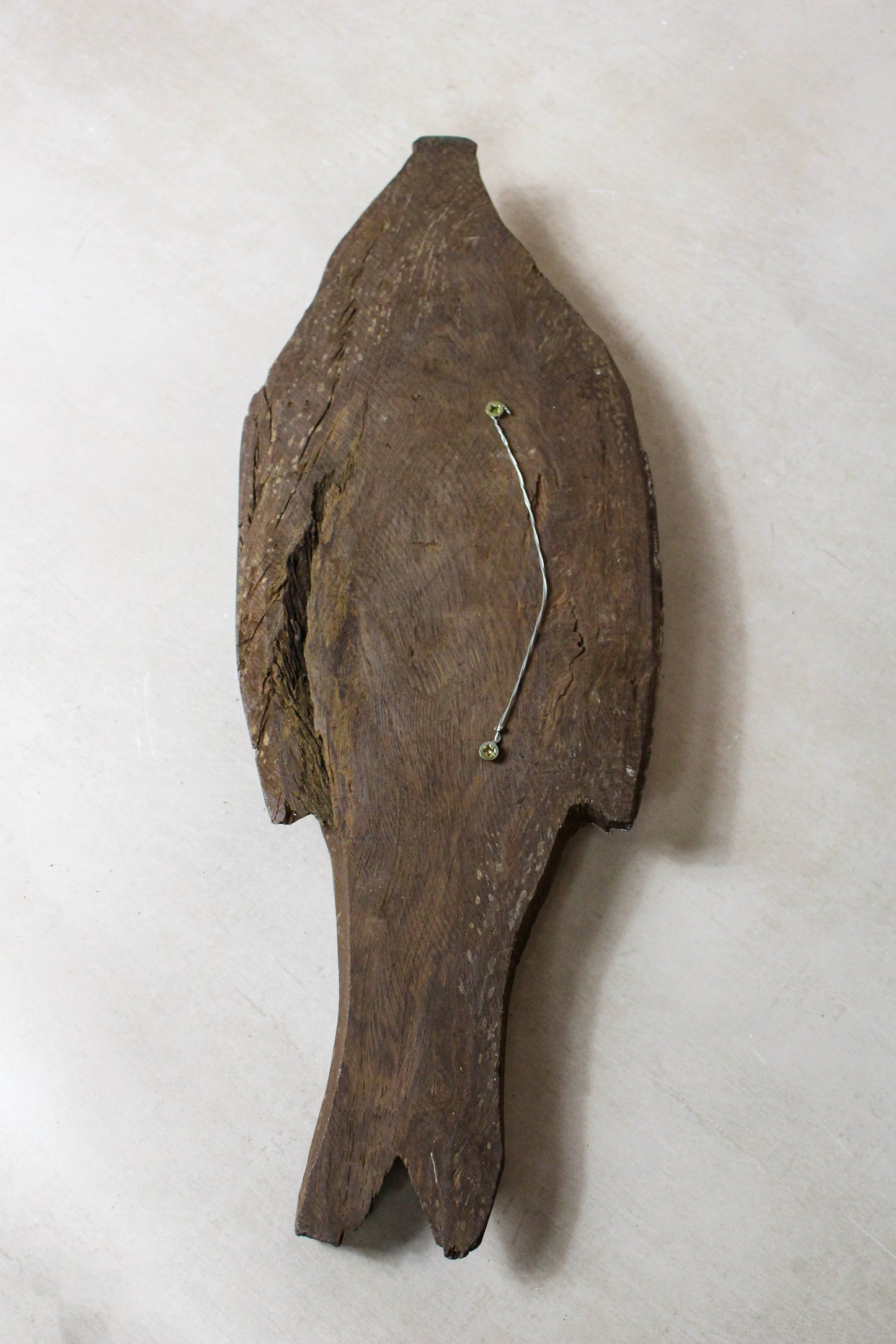 Driftwood Hand Carved Fish - 116.9 by Botanical Boys