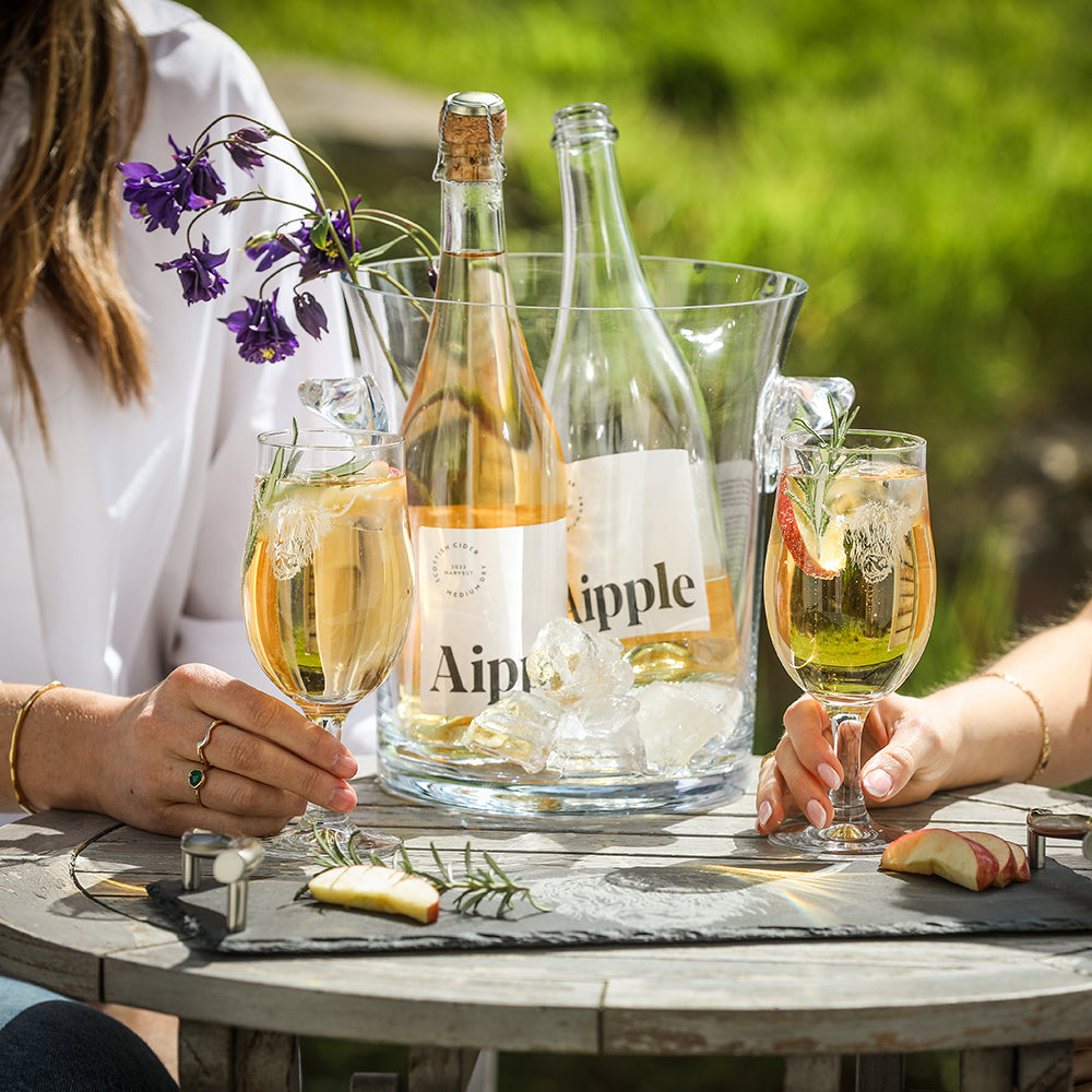 Highland Cow Craft Beer Glasses - Set of 2 by Selbrea House