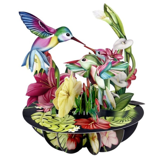 Pirouettes Card - Hummingbirds