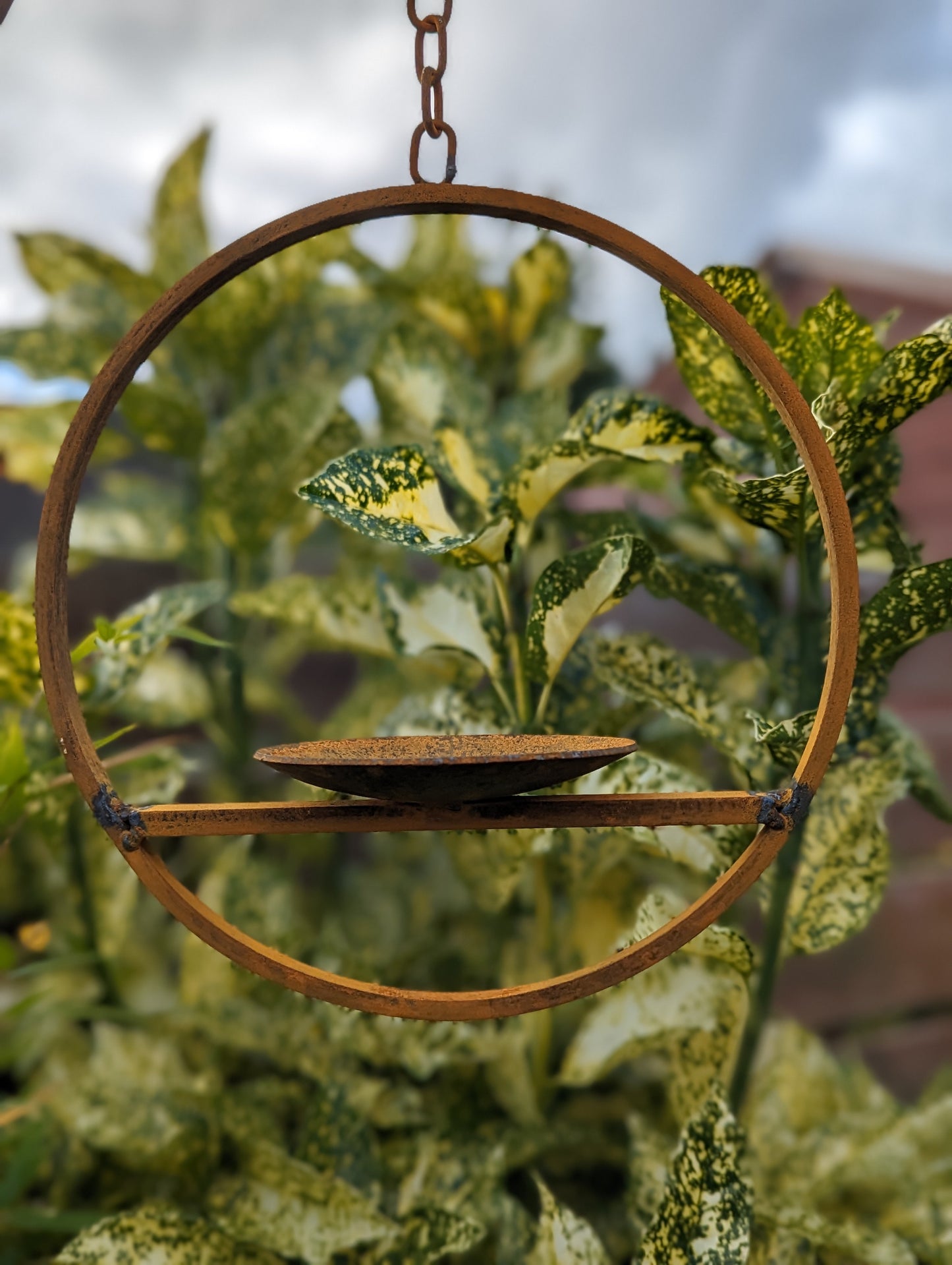 Rusty Metal Hanging Bird Feeder Platform Ring