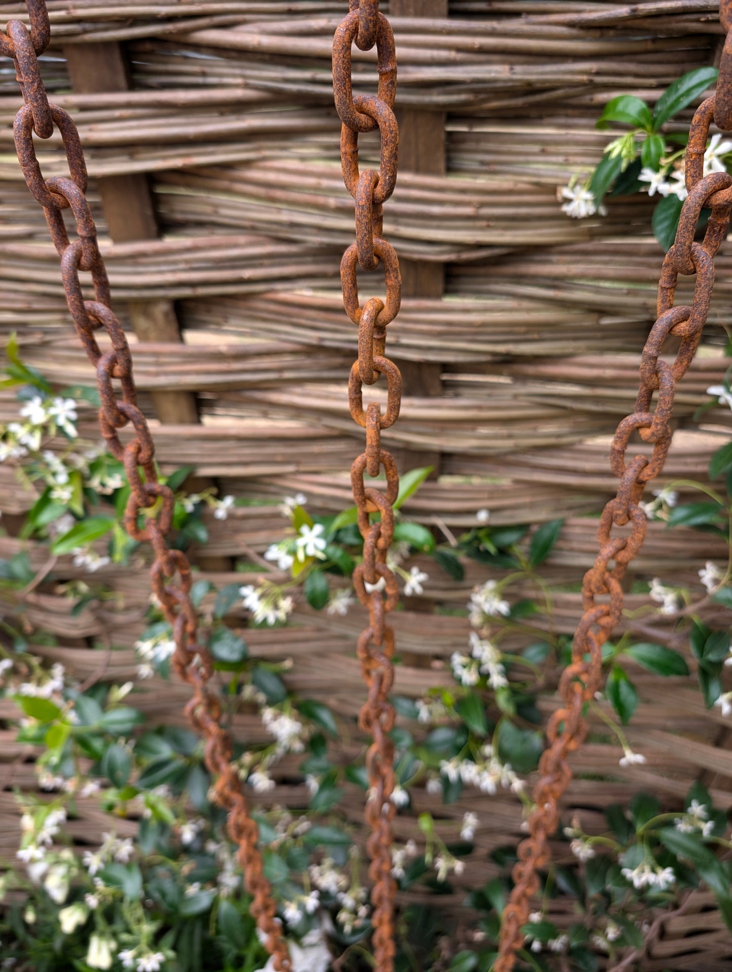 Rusty Rain Chain