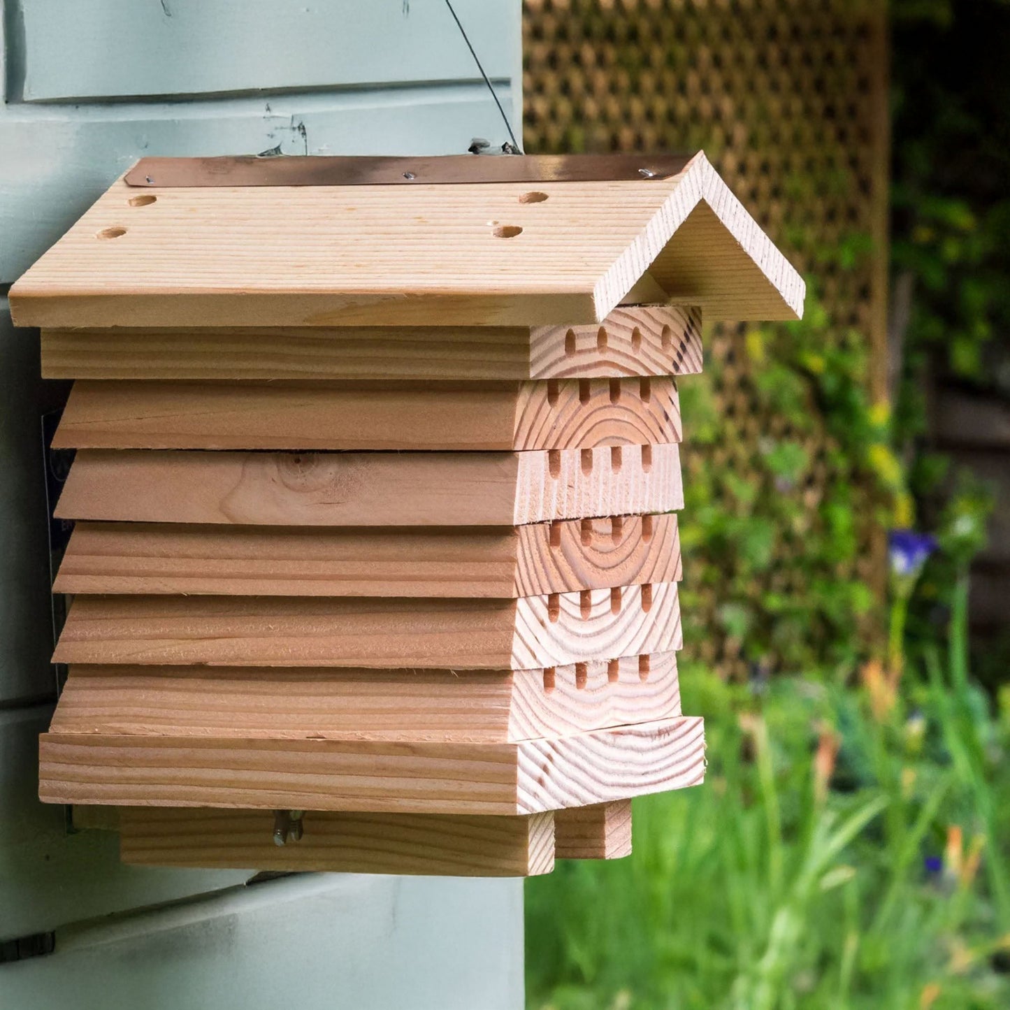 Green Feathers Solitary Bee Hive