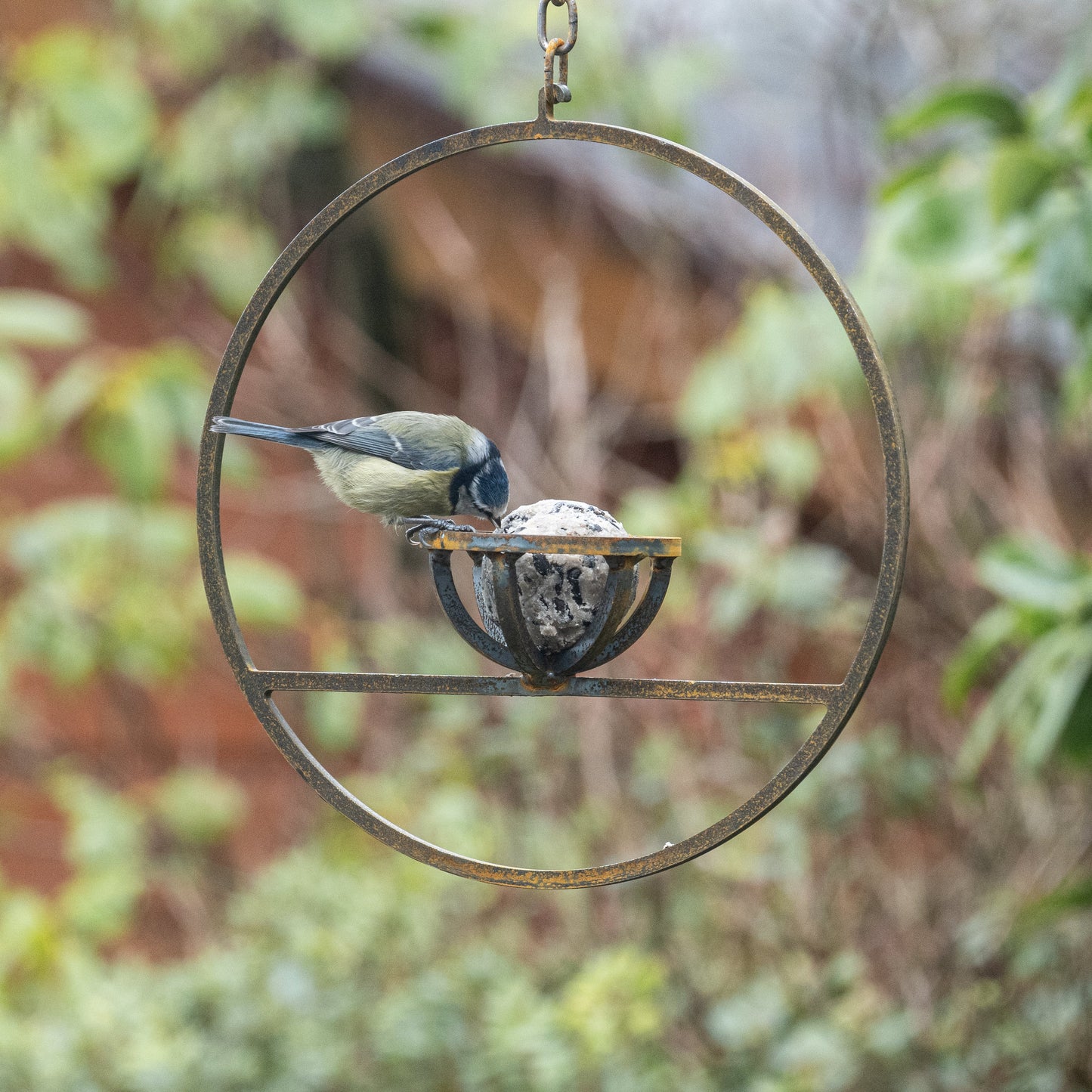 Rusty Metal Hanging Fat Ball Bird Feeder – Steel Garden Feeder