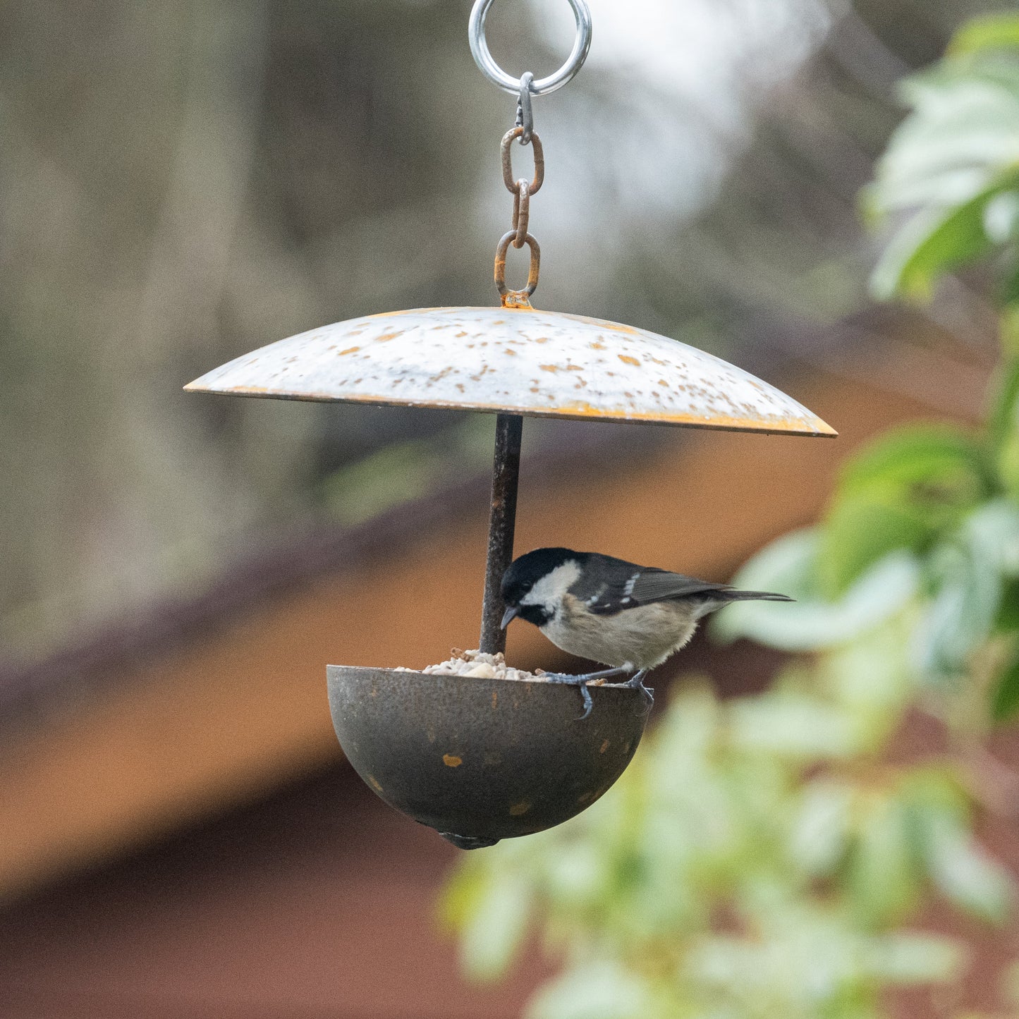 Outdoor Hanging Bird Feeder – Rustic Metal Garden Feeder