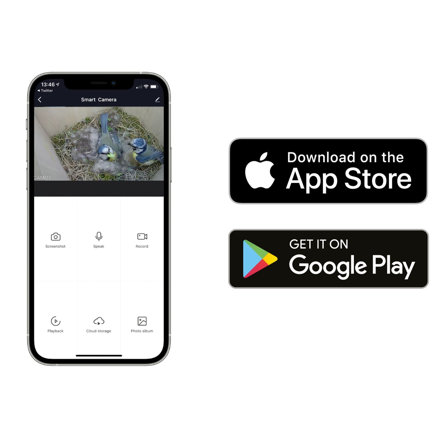 Green Feathers WiFi Bird Box HD Camera Starter Pack