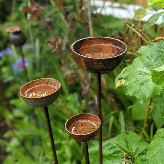 Rain Catcher Plant Support – Rustic Metal Garden Ornament
