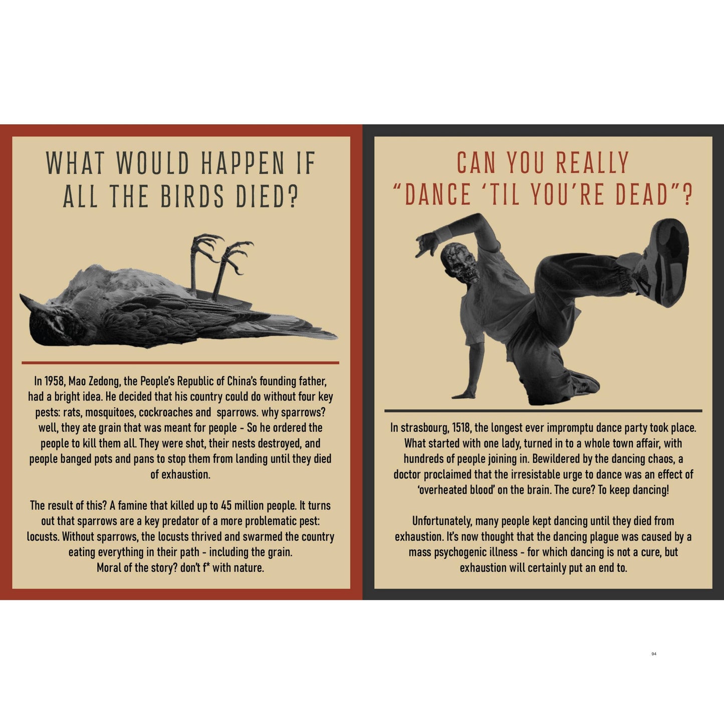 Curious Man Thoughts Funny Fact Book