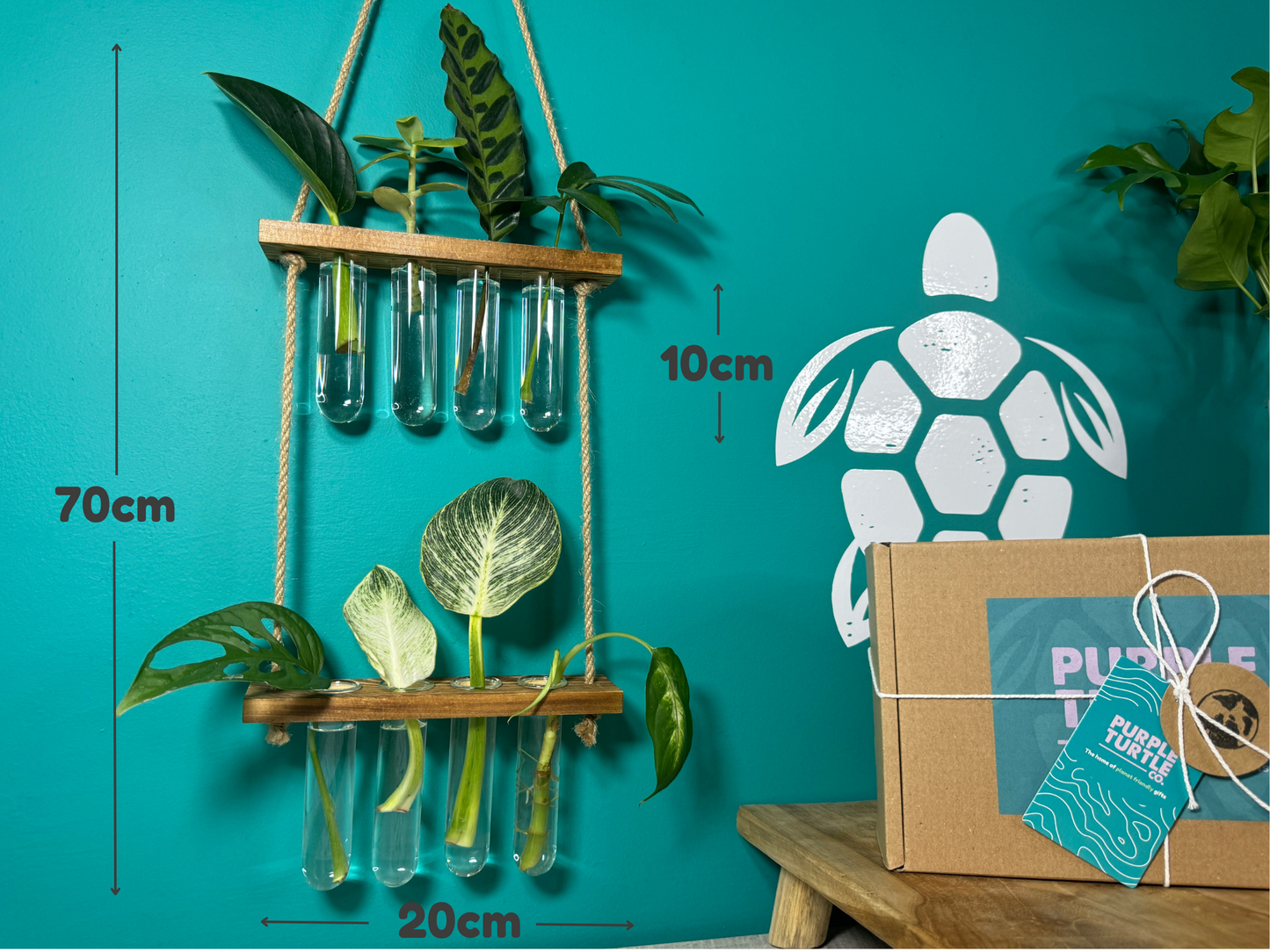 Plant Propagation Gift Set #4