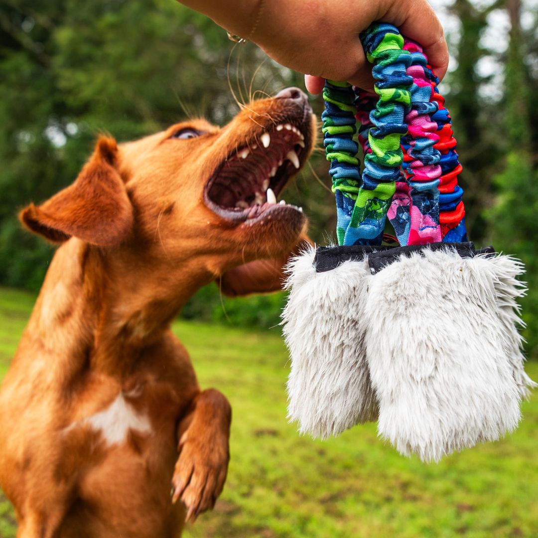 Faux Fur Pocket Bungee Squeaker Dog Toy