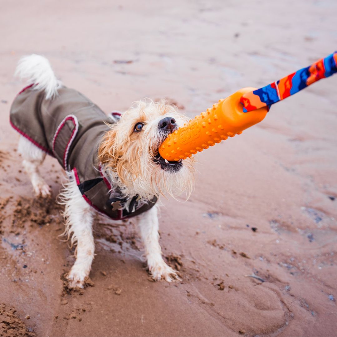 BOB: The 3-in-1 Dog Dummy Toy