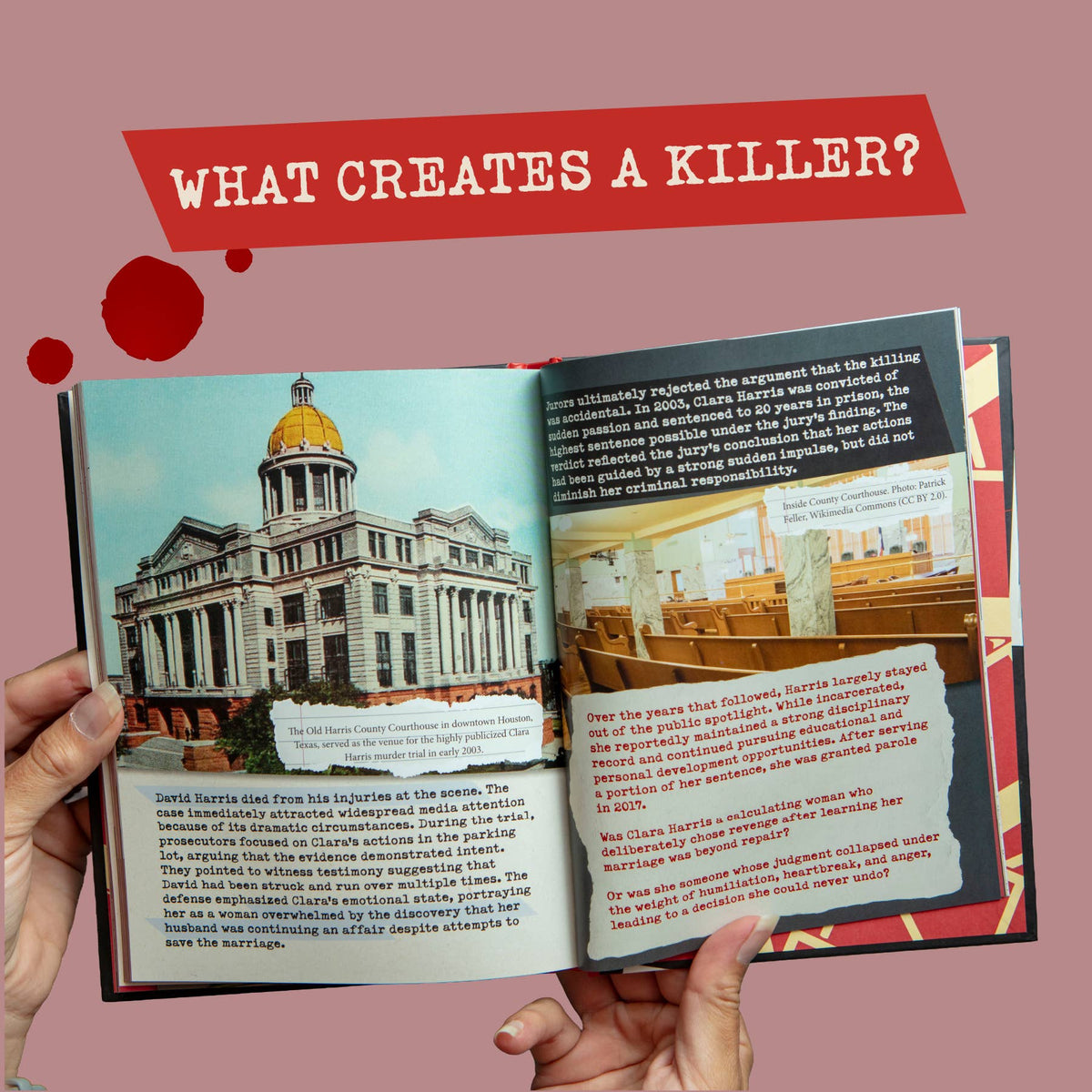 When Women Kill – True Crime Book