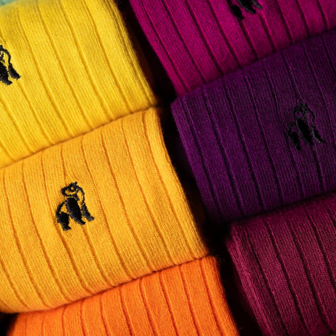 Ultimate Style Sock Box - 15 Pairs of Bamboo Socks by Swole Panda