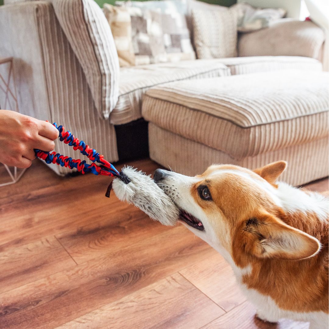 Faux Fur Pocket Bungee Squeaker Dog Toy
