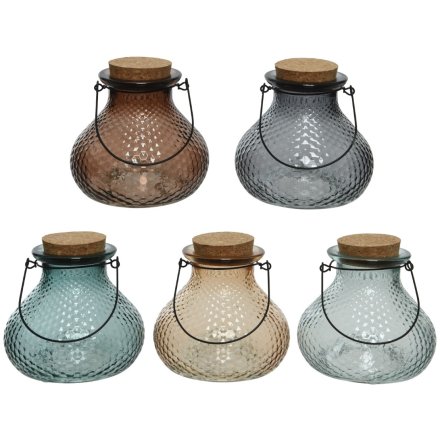 WASP CATCHER WITH CORK LID