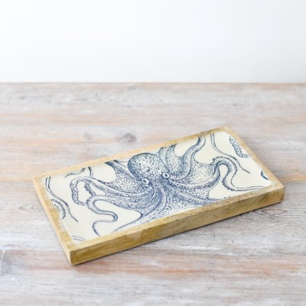 OCTOPUS COASTAL TRAY
