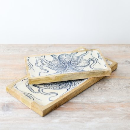 OCTOPUS COASTAL TRAY