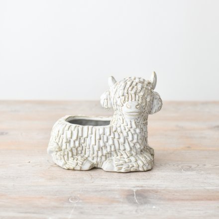 LAYING DOWN HIGHLAND COW PLANTER, 14.7CM
