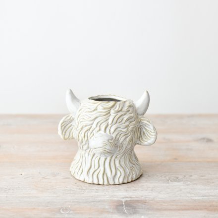 HIGHLAND COW PLANTER, 13.3CM