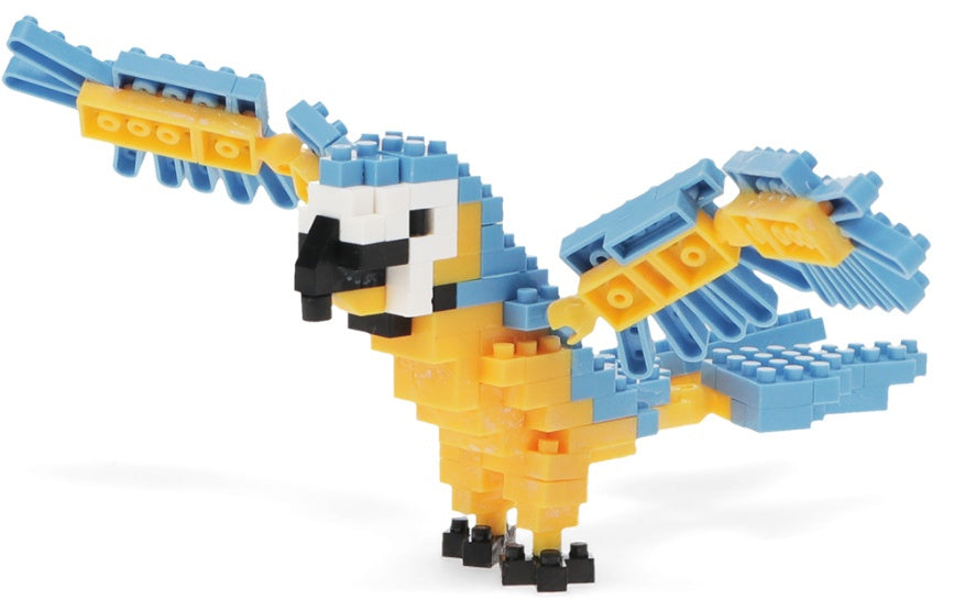 Build Your Own Macaw Animal Model Brick Kit
