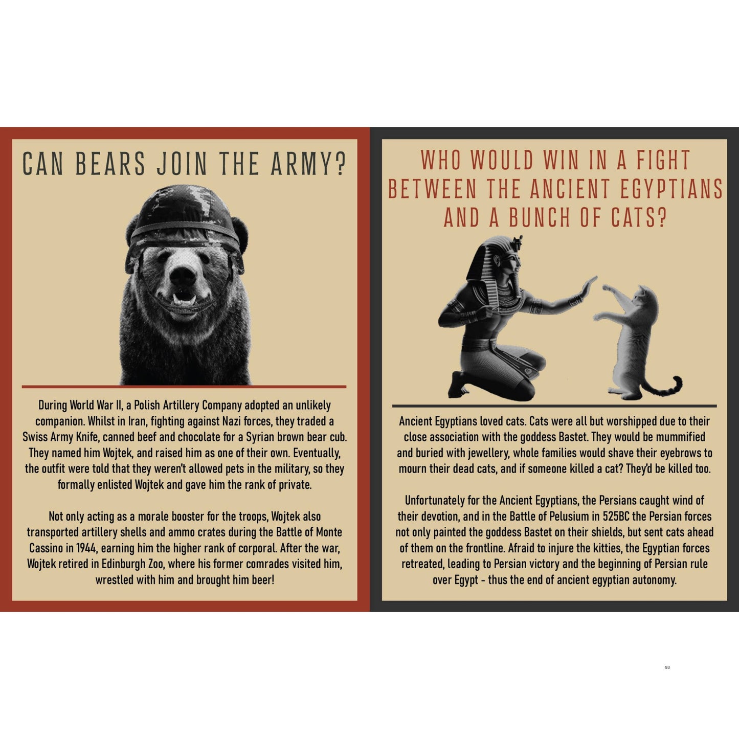 Curious Man Thoughts Funny Fact Book