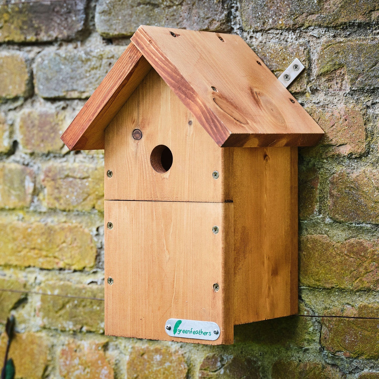 Green Feathers Handmade Wooden Bird Box
