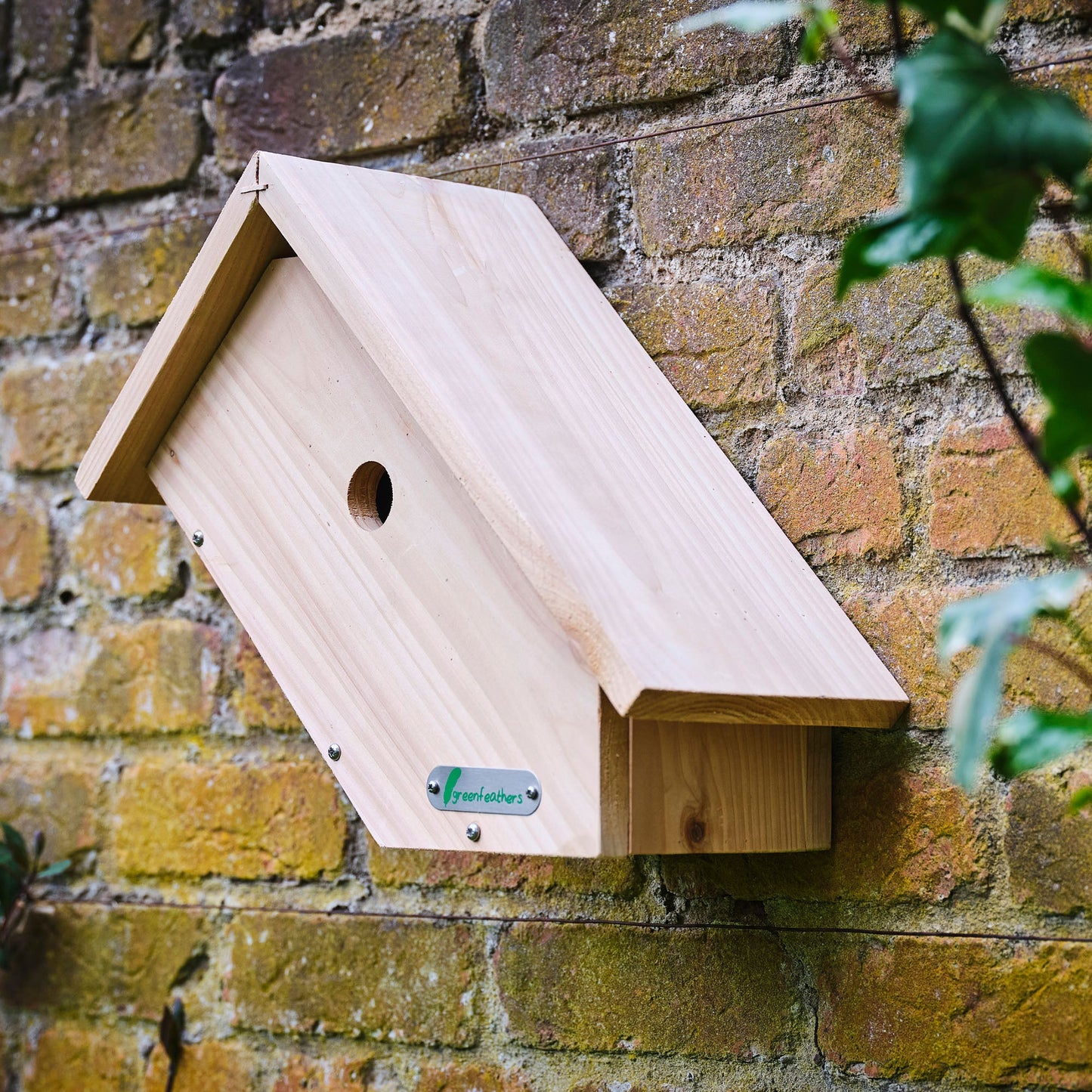 Green Feathers Handmade Wooden Side View Bird Box