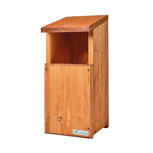 Green Feathers Handmade Wooden Owl Box