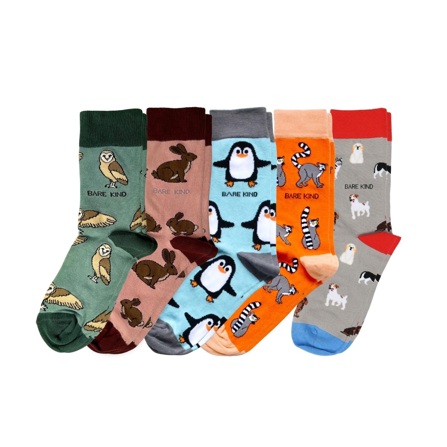 Bare Kind Bestsellers 5 Pack Bamboo Sock Set