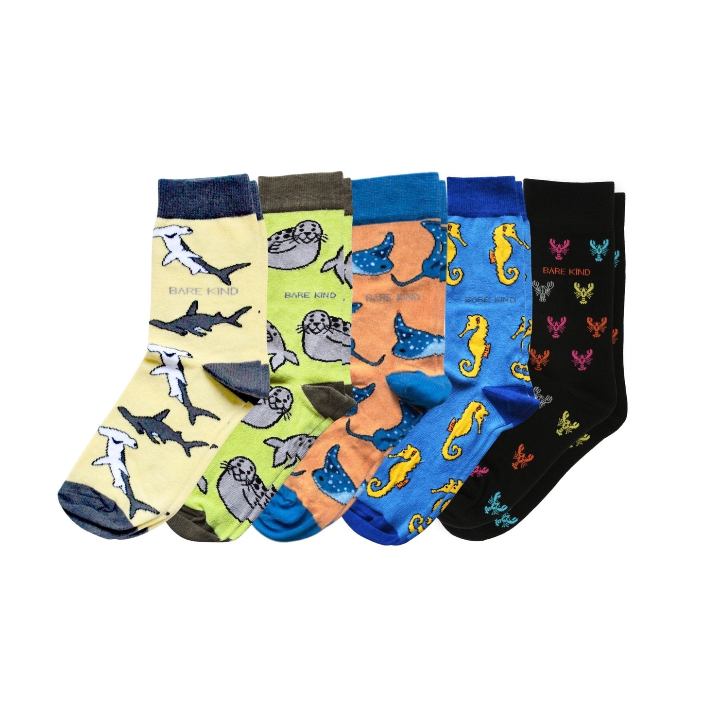 Bear Kind Ocean Rainbow 5 Pack Bamboo Sock Set