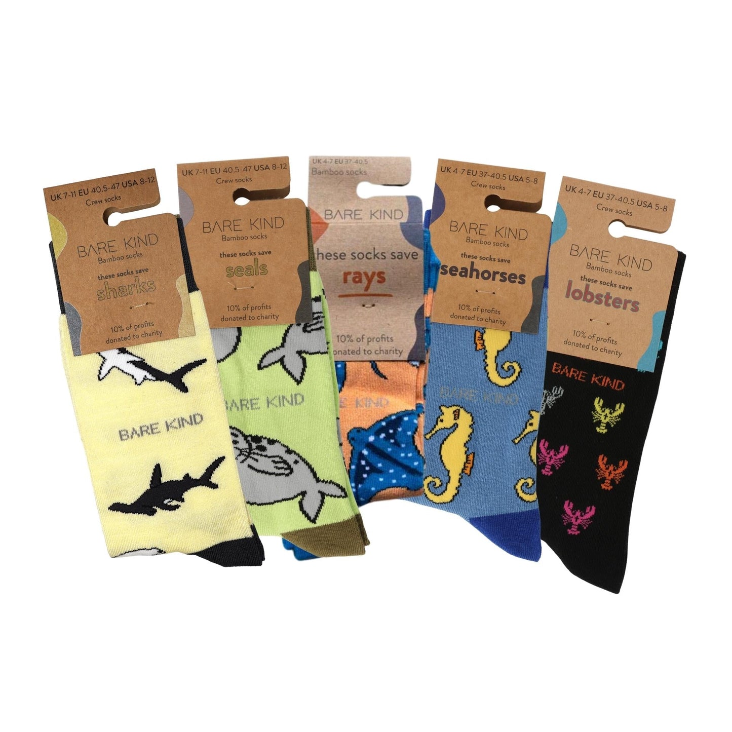 Bear Kind Ocean Rainbow 5 Pack Bamboo Sock Set