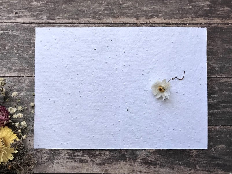 Plantable Seed Paper Birthday Card, Blank Inside (HB DAD)