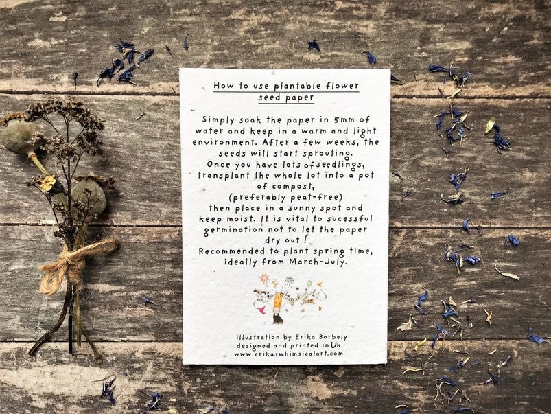 Plantable Seed Paper Birthday Card, Blank Inside (HB DAD)