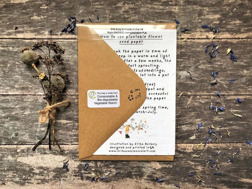 Plantable Seed Paper Birthday Card, Blank Inside (HB DAD)