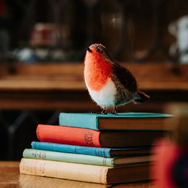 British Birds Red Robin Needle Felting Craft Kit