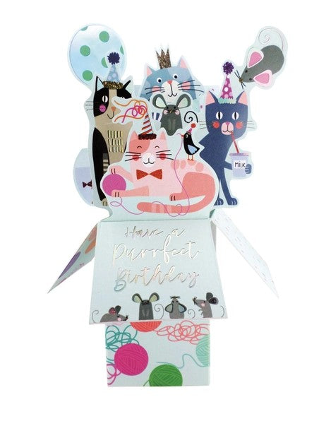 Cats, Birthday - 3D Pop Up's Greeting Card - Second Nature