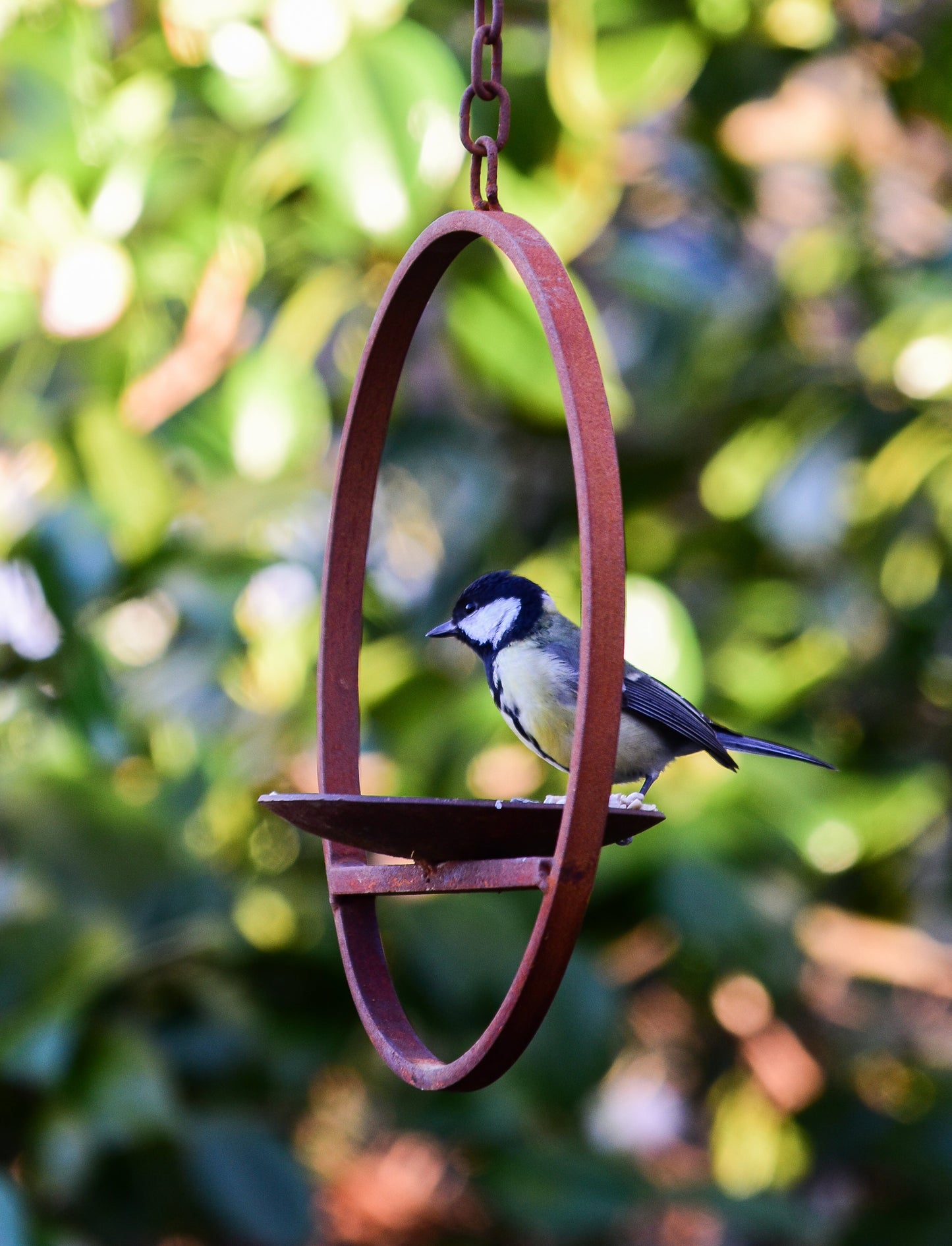 Rusty Metal Hanging Bird Feeder Platform Ring