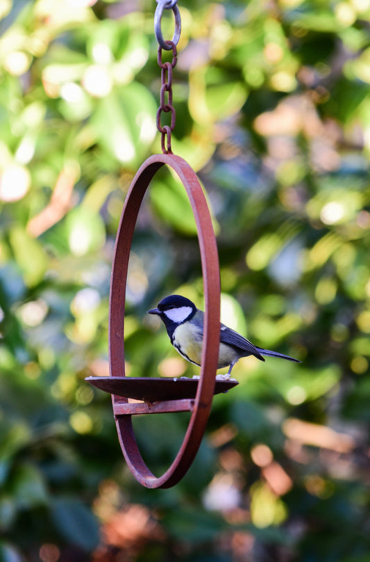 Rusty Metal Hanging Bird Feeder Platform Ring