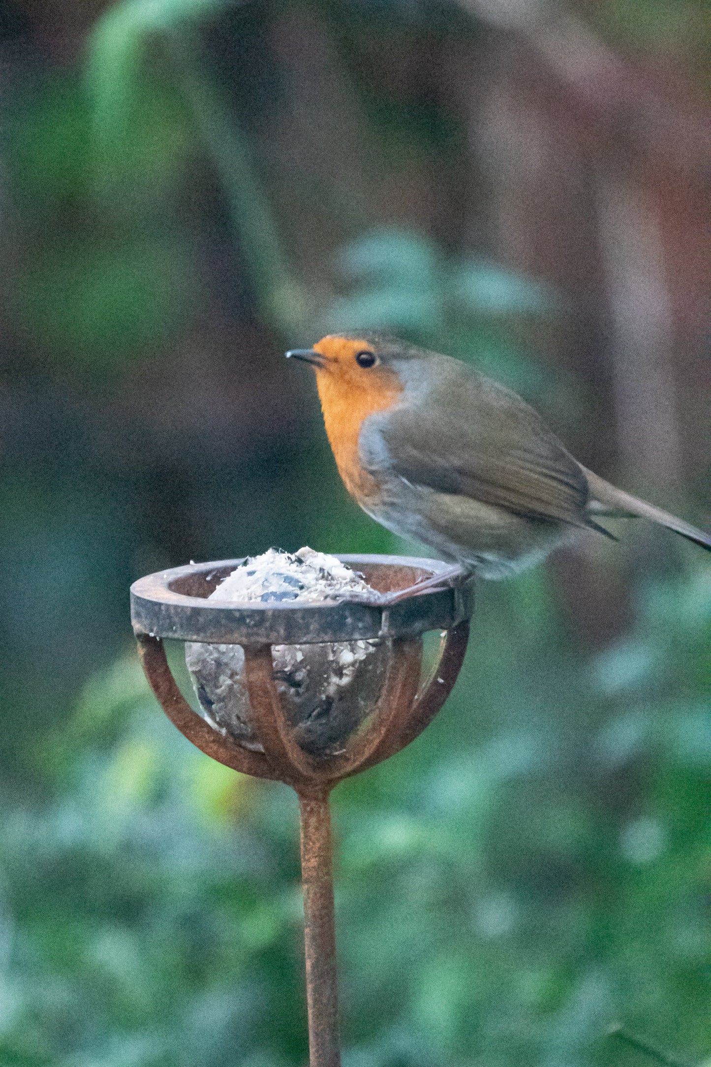 Fat Ball Bird Feeder Stake – Rustic Metal Garden Bird Feeder