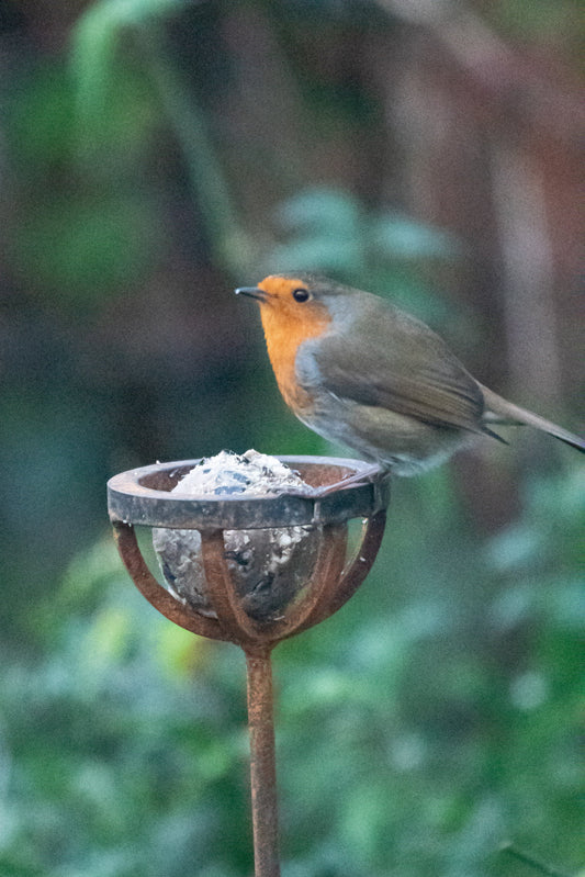 Fat Ball Bird Feeder Stake – Rustic Metal Garden Bird Feeder