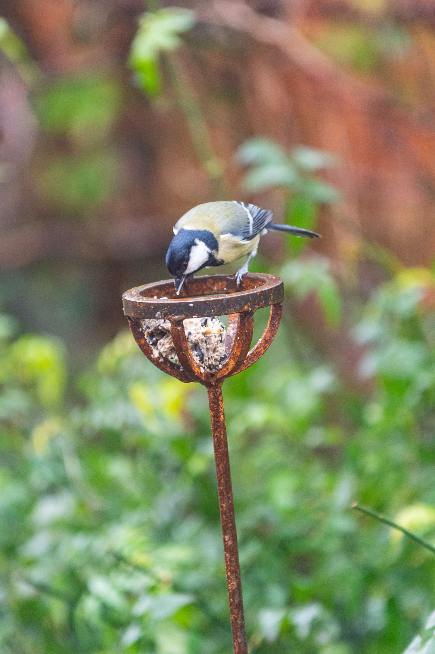 Fat Ball Bird Feeder Stake – Rustic Metal Garden Bird Feeder