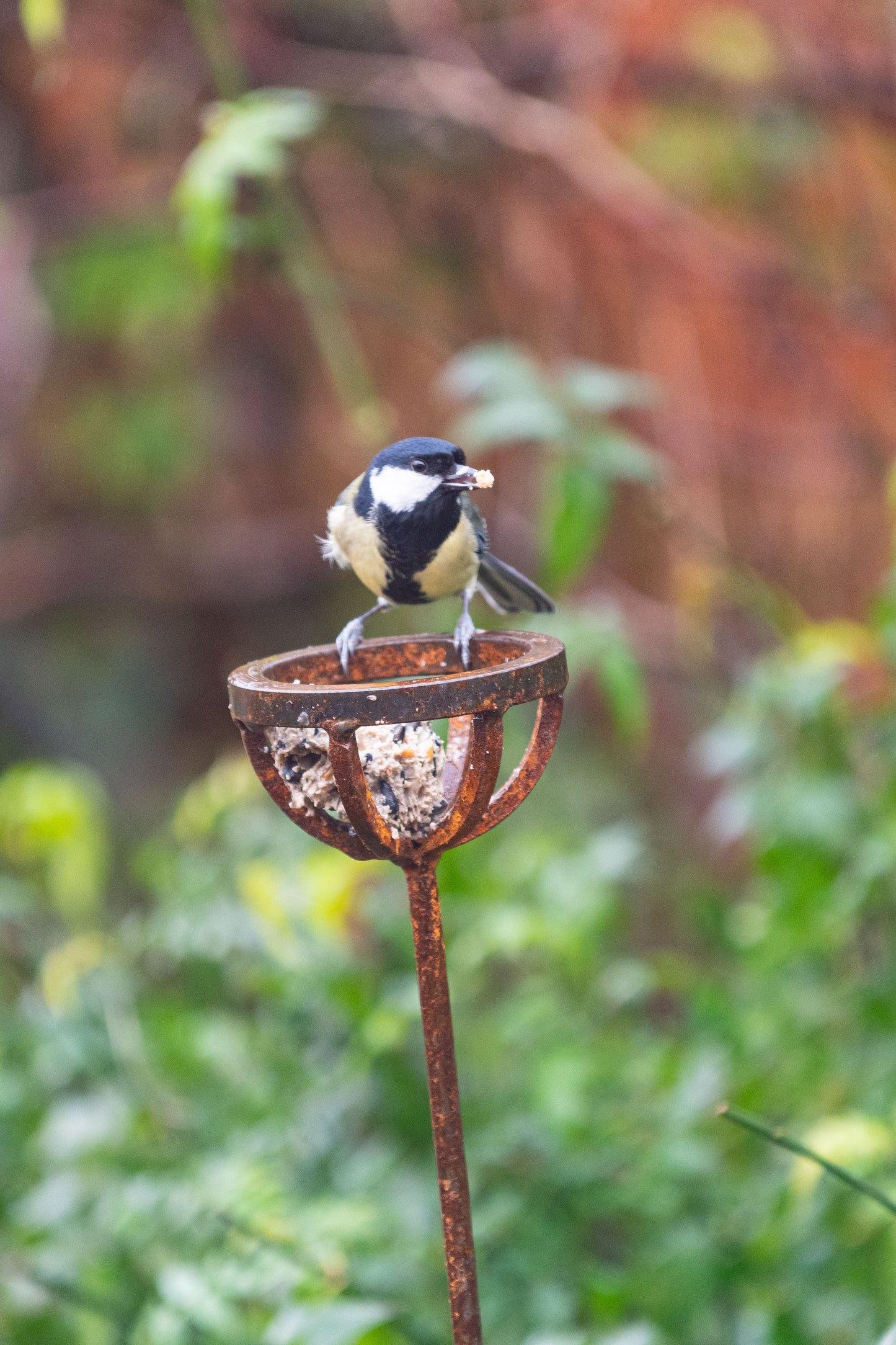 Fat Ball Bird Feeder Stake – Rustic Metal Garden Bird Feeder