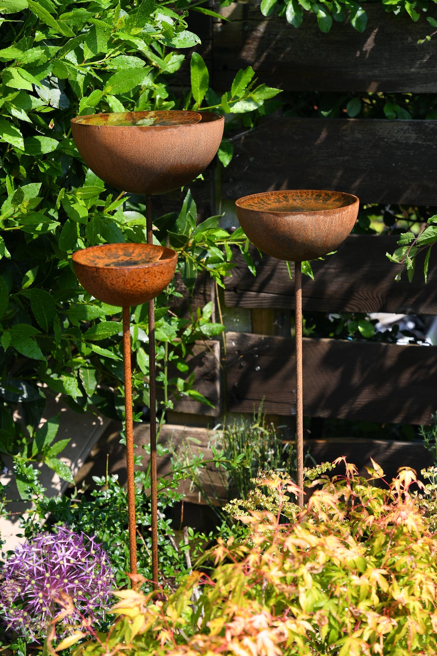 Rain Catcher Plant Support – Rustic Metal Garden Ornament