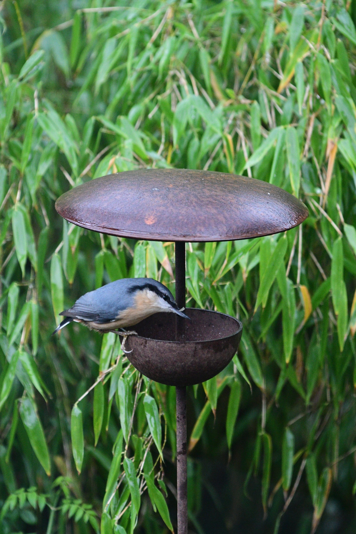 Rusty Metal Bird Feeding Stake – Steel Garden Bird Feeder