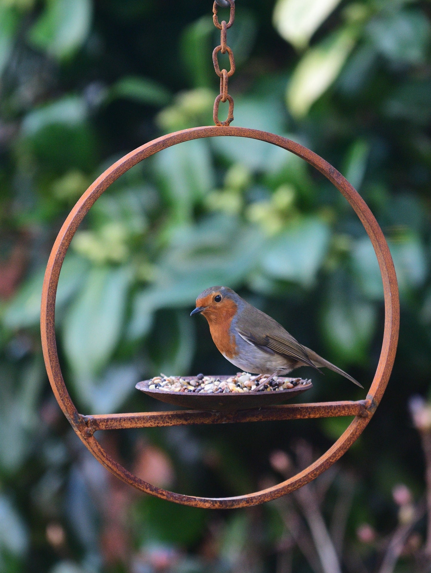 Rusty Metal Hanging Bird Feeder Platform Ring